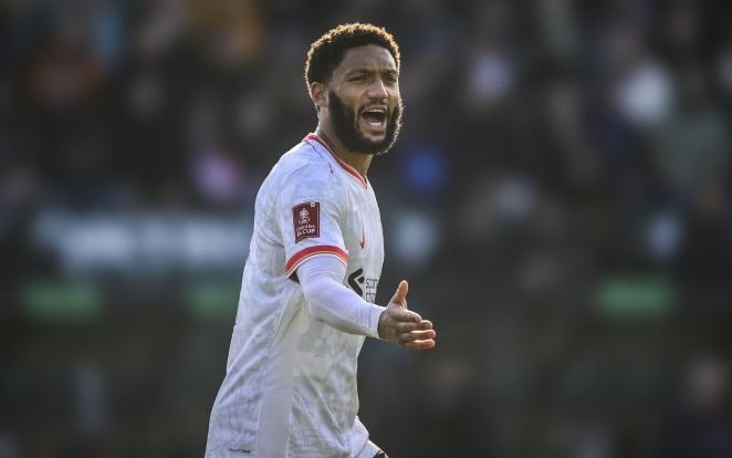 在過去的幾 在過去的幾